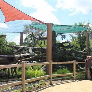 Hamil Family Wild Encounters - Red Panda Exhibit
