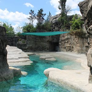 Pinniped Point - Sea Lion Exhibit