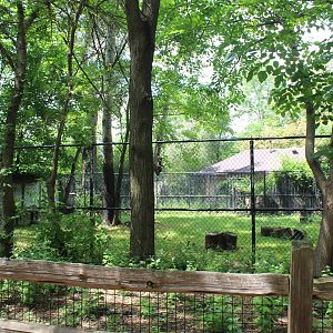 Habitat Africa: The Savannah - Gerenuk & Klipspringer Exhibit