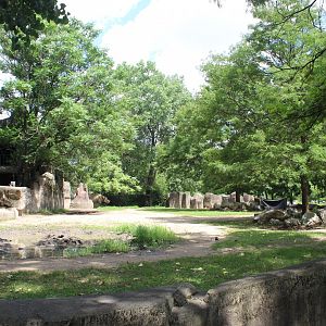 Pachyderm House - Black Rhino Exhibit