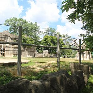 Pachyderm House - Black Rhino Exhibit
