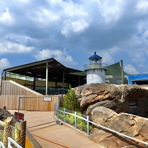 Adventure Cove July 2020: Pinniped Exhibit