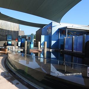 Adventure Cove July 2020: Show Presentation Pool