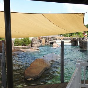 Adventure Cove July 2020: One side of Sea Lion/Seal Exhibit