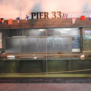 Adventure Cove July 2020: Exhibit in Animal Ambassador Building