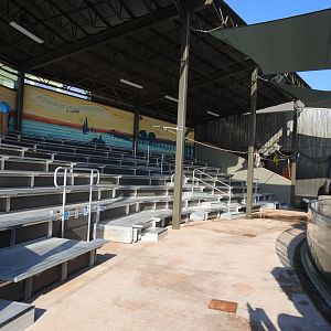 Adventure Cove July 2020: Pinniped Show Seating
