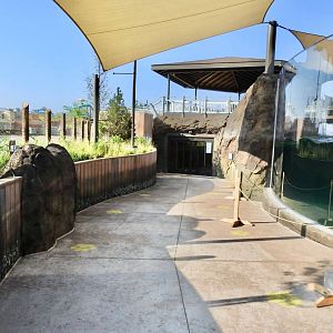 Adventure Cove July 2020: Pinniped Exhibit