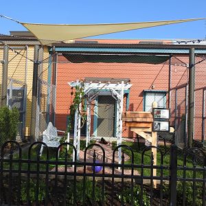 Adventure Cove July 2020: Animal Ambassador Outside Exhibit