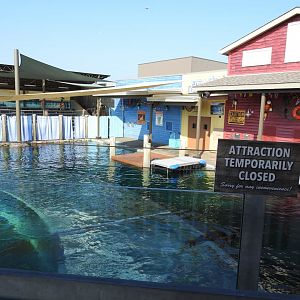 Adventure Cove July 2020: Other Side of Pinniped Exhibit
