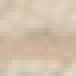 Giant anteater & baby