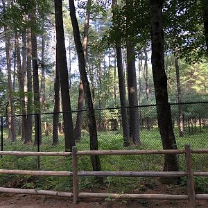 American Moose Exhibit
