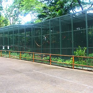 Hawk Arena - Show Bird Retirement Aviary