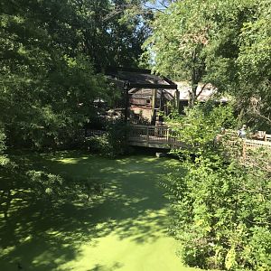 Australia adventure pond