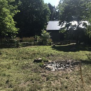 Aldabra tortoise exhibit