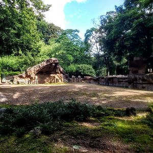 Tierpark Hagenbeck- onager enclosure- 2020