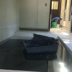 Magellanic penguin indoor exhibit