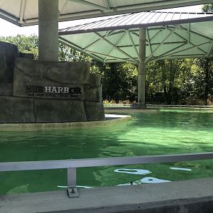Hub Harbor seal & sea lion exhibit
