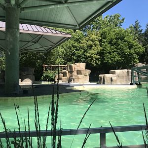 Hub Harbor seal & sea lion exhibit