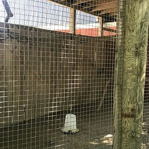 Kids kingdom empty aviary