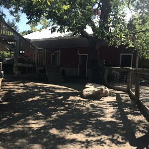 Kids kingdom Llama exhibit