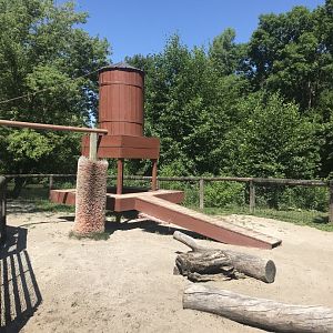 Kids kingdom Nigerian dwarf goat exhibit