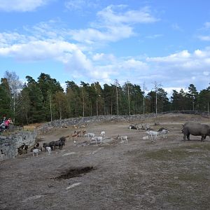 Savannah animals waiting to be let into the stable at Kolmården