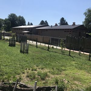 Jamaa kwa Africa Nyala & southern ground hornbill exhibit