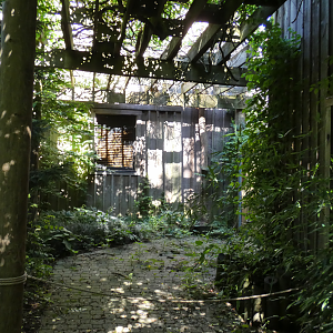 Jul. 2020 - Former Nocturnal House (1964-2010)