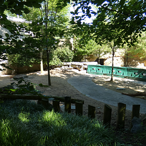 Jul. 2020 - Reptile House - Burmese Mountain Tortoise Exhibit