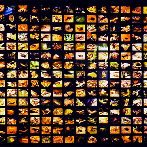 Jul. 2020 - World of the Insect - Entrance Sign