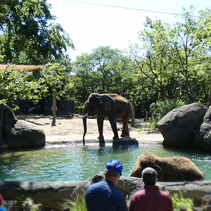 Jul. 2020 - Elephant Reserve - Right Elephant Exhibit & Pool