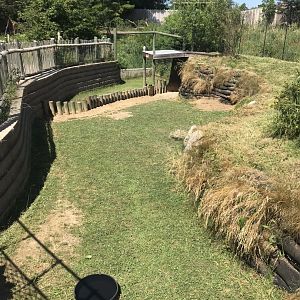 Jamaa kwa Africa African spurred tortoise exhibit
