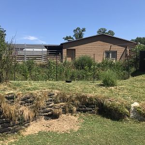 Jamaa kwa Africa African spurred tortoise exhibit with kori bustard exhibit behind it