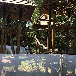 Discovery center outdoor Red panda exhibit