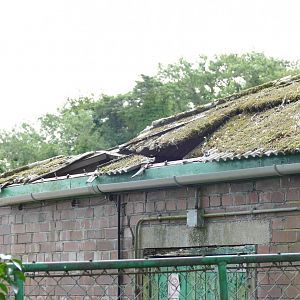 Former camel house, July 2020