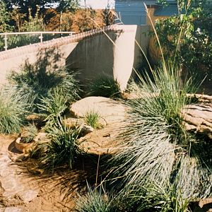 Komodo Dragon (1996)