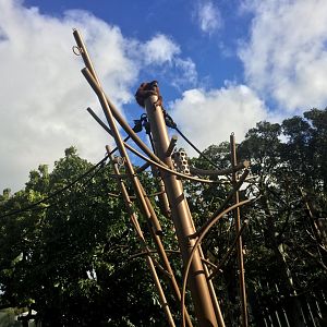 Bornean Orangutan Exhibit