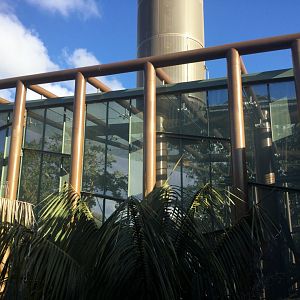 Bornean Orangutan Exhibit