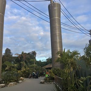 Bornean Orangutan/Siamang Climbing Towers