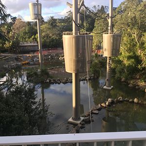 Bornean Orangutan/Siamang Climbing Towers