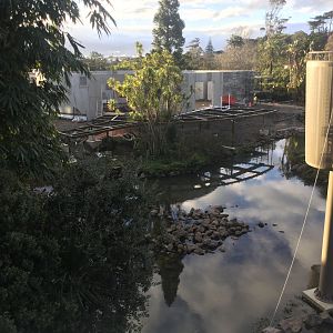 Tropical Dome (Under Construction)