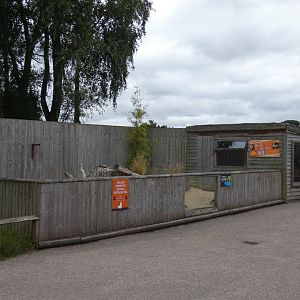 Leopard Tortoise enclosure