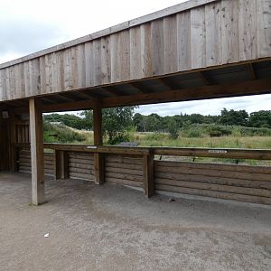 Viewing area for Iberian Wolf enclosure