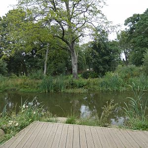 Amur Tiger enclosure