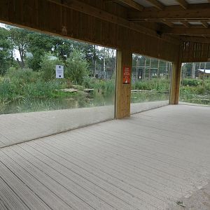 Amur Tiger enclosure viewing area