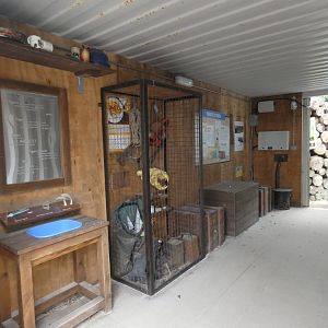 Education display in 'Tiger Trail'
