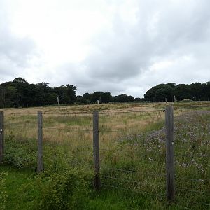 Former African Elephant enclosure