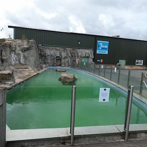 Californian Sea Lion enclosure