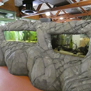 Aquarium in cafe (2)