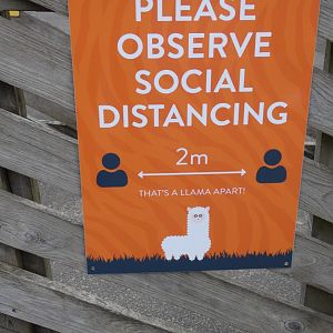Social distancing signage